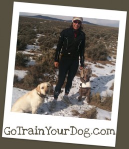 Dog Training Health and Fitness Programs